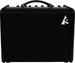 Godin Acoustic Solutions ASG-8 Acoustic Guitar Amplifier (120 Watts)