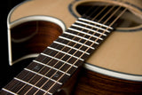 Washburn EA20SNB Festival Nuno Bettencourt Acoustic-Electric Guitar - CBN Music Warehouse